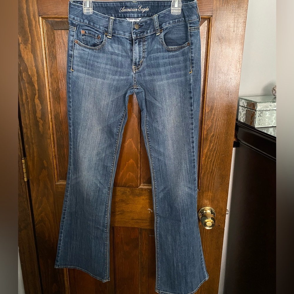 American Eagle Artist Flare Jean (8L)